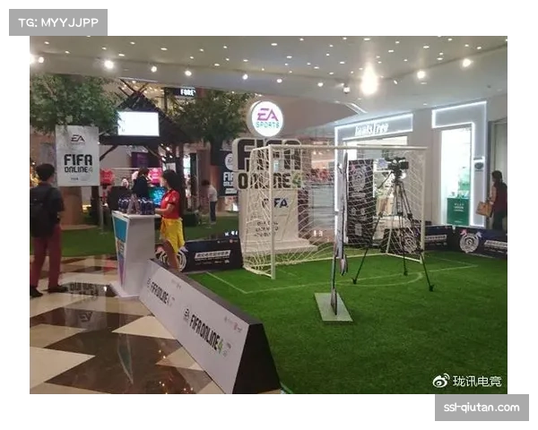 职业联赛球场体验升级,亲民票价与多元化观赛成趋势