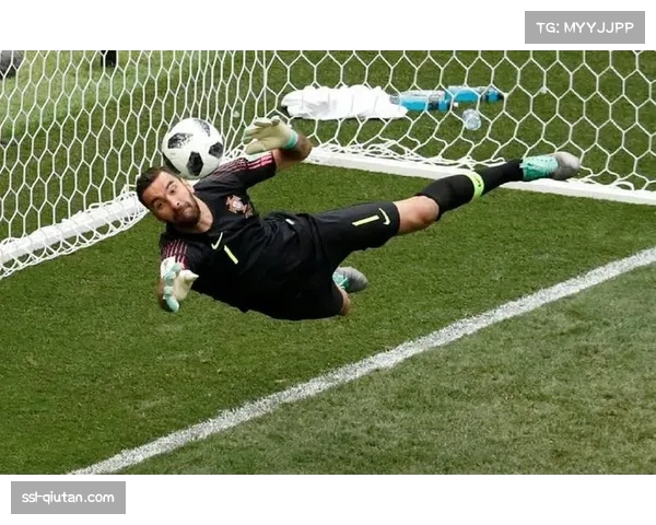 葡萄牙门将帕特里西奥训练中肩部脱臼 葡萄牙门将帕特里西奥训练中肩部脱臼